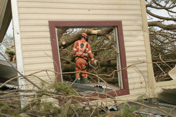 Best Storm Damage Tree Cleanup  in Muenster, TX